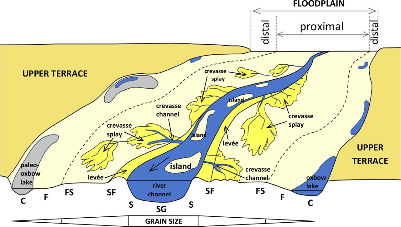 Model of floodplain geomorphology (type of meandering river), including distribution of particular lithofacies (see supplemental information for description of abbreviations)Source: own study based on Bridge 2003, Ostrowski et al. 2021 and Szmańda 2011
