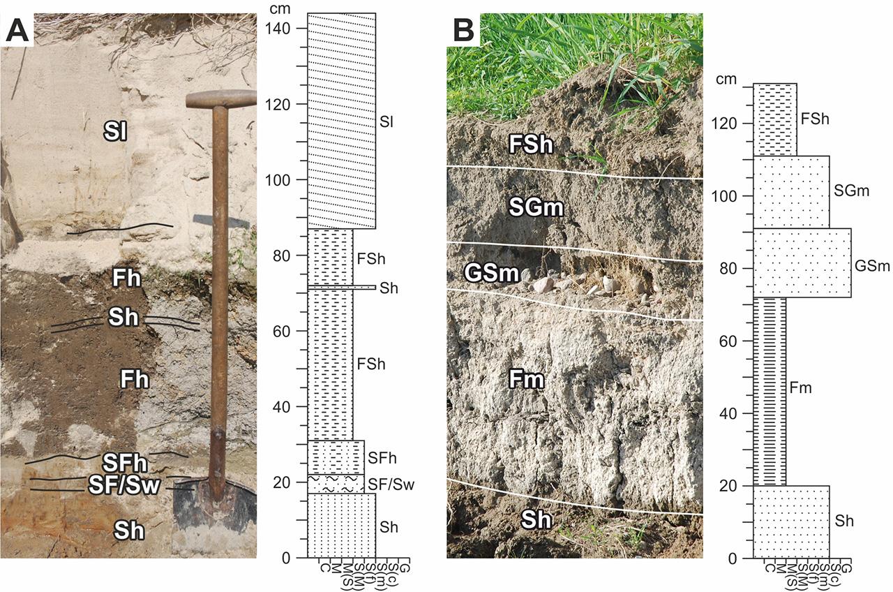 Sections No. 1 and No. 15. See supplemental informationSource: own study