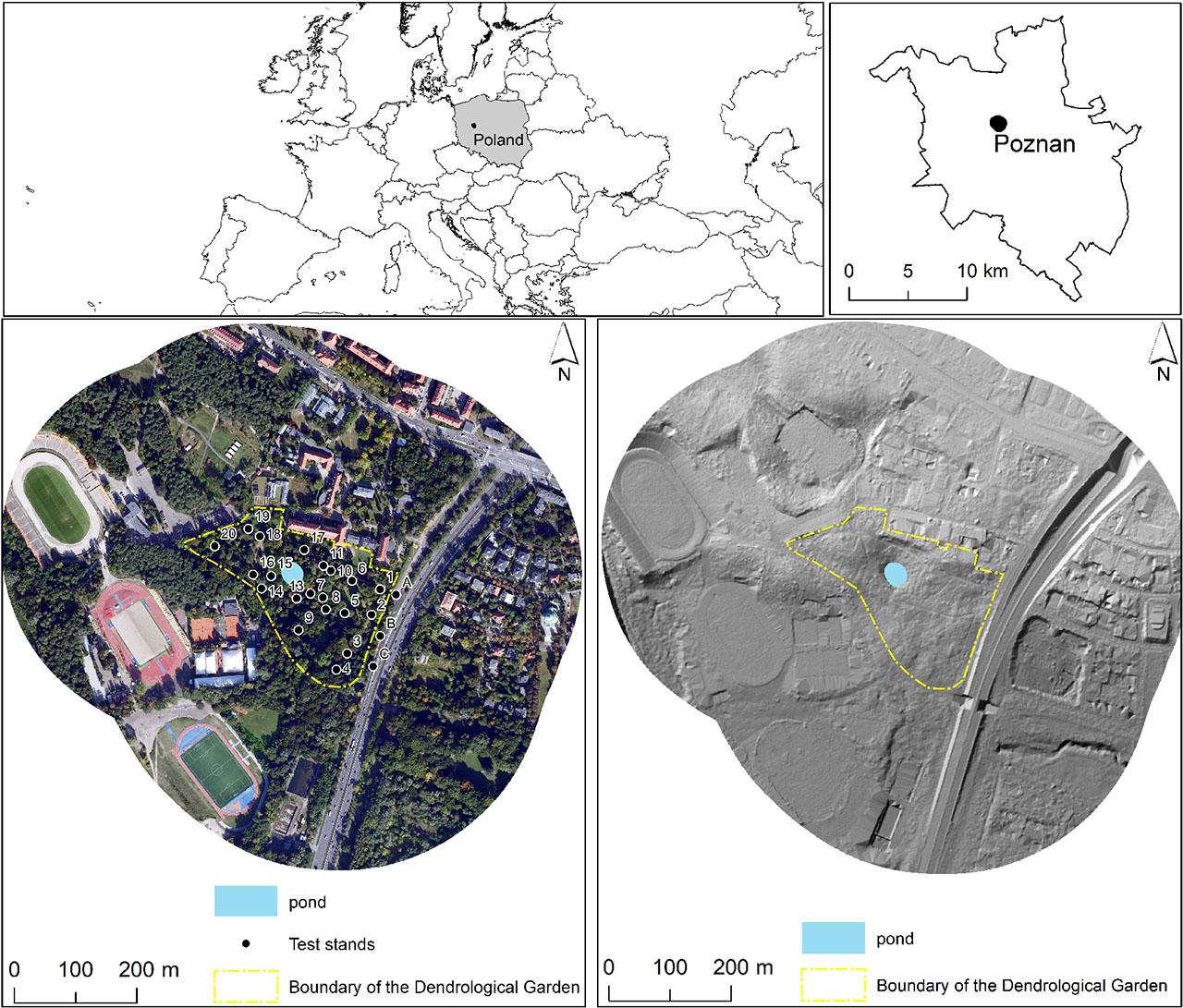 Study site location with satellite and LIDAR-derived imagesSource: own elaboration based on Geoportal