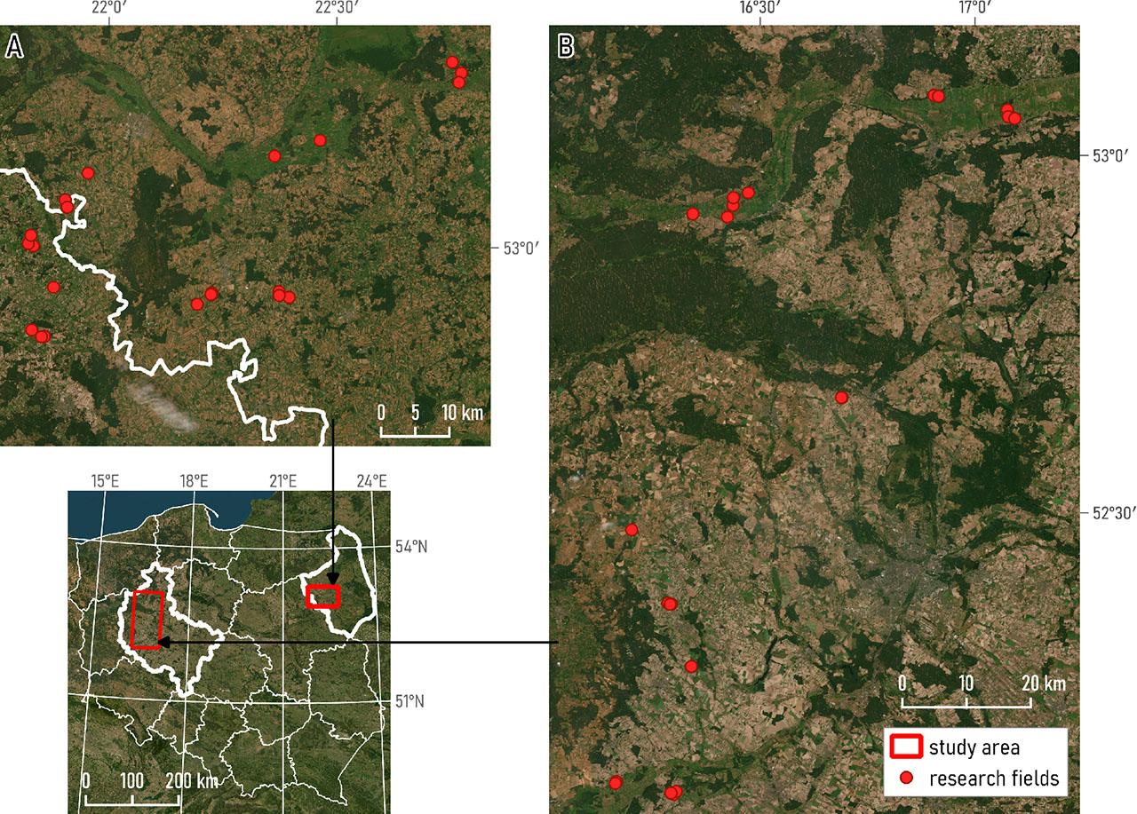 Map of grasslands on: IGiK test site area (A) and PULS test sites (B)source: own elaboration