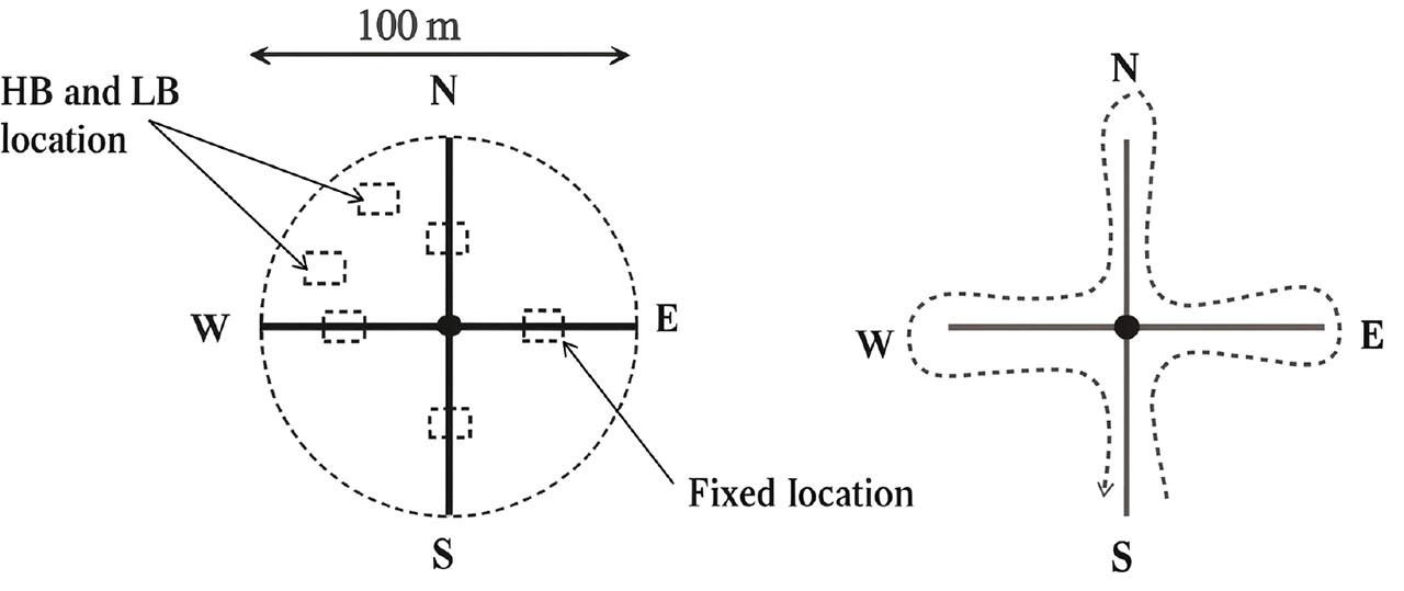 Sampling locations in the field were determined based on the vegetation sampling approach, which involved quadrats sampled at locations exhibiting both high biomass (HB) and low biomass (LB)Source: Mundava et al. (2015)