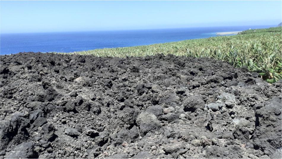 A solidified lava flow flooding a banana plantation, May 8, 2023Source: photos taken by Authors