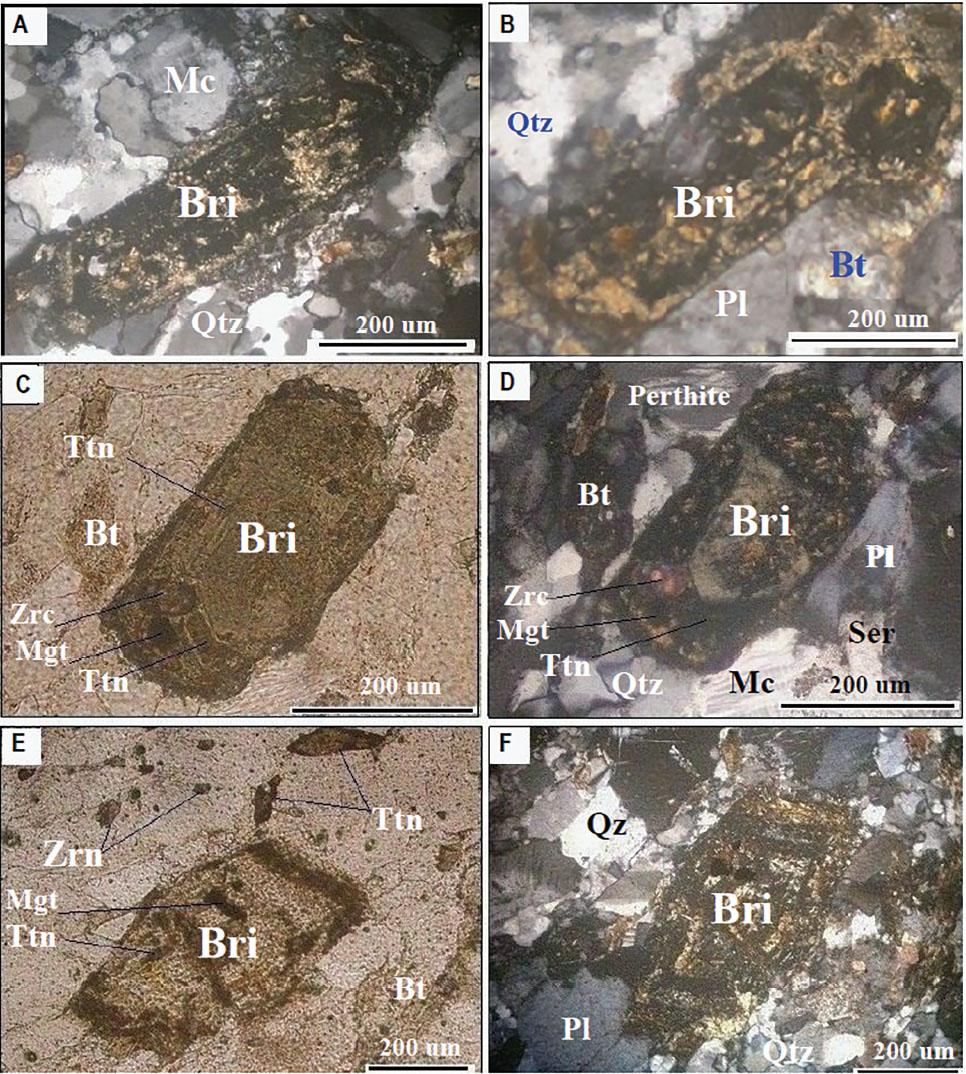 Photomicrographs of samples GR1 and GR2. (A) Image of a britholite prism, taken under XPL. (B) Image of a platy tabular crystal of britholite, taken under XPL. (C-D) Images of a euhedral tabular britholite, taken under PPL and XPL, showing center zonation and a resobed border. (E-F) Images of another euheral britholite, taken under PPL and XPL, showing rims around a core. Mineral abbreviations are: Bt—biotite; Bri—britholite; Mgt—magnetite; Mc—microcline; Pl—plagioclase; Qtz—quartz; Ser—sericite; Zrn—zircon; Ttn—titanite.
