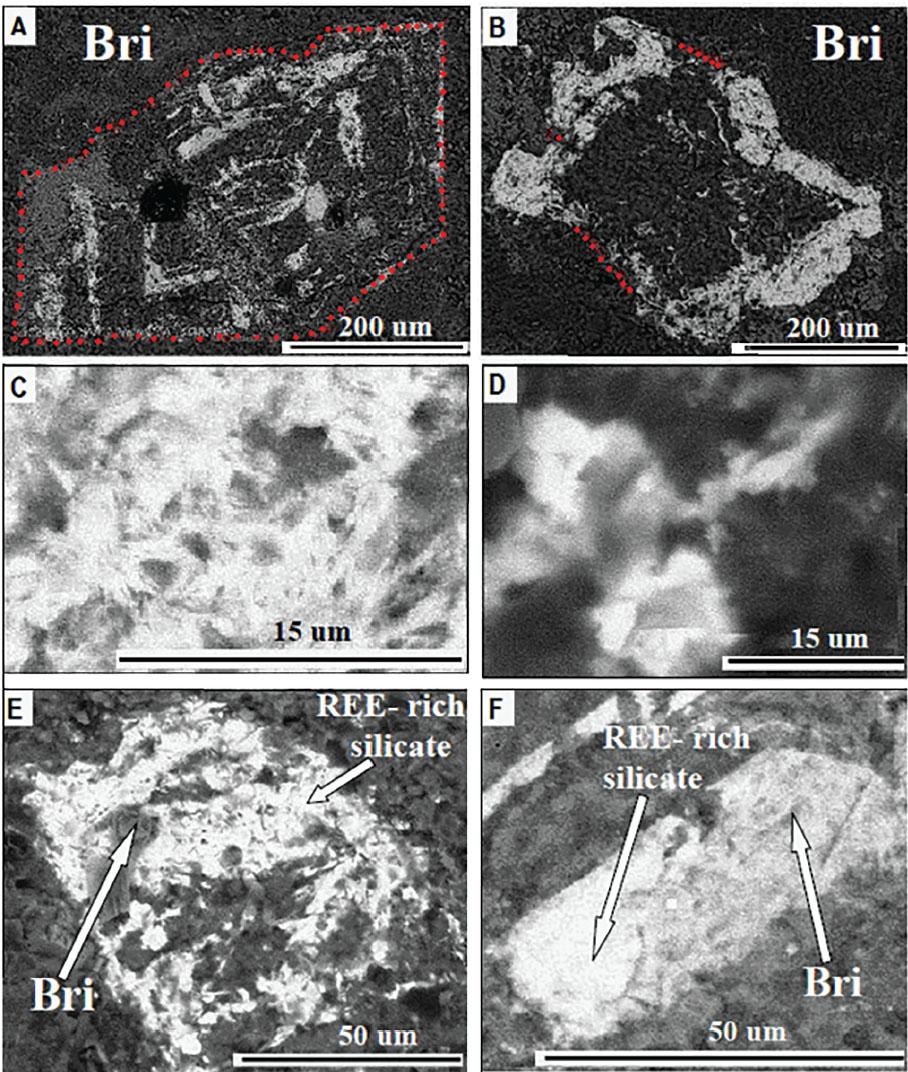 BSE images of REE grains from samples GR1 and GR2. (A) BSE image of the britholite depicted in Fig. 2E, displaying compositional zoning. (B) BSE image of another britholite crystal. In (A) and (B) the dotted red lines partially mark the original crystal outline. (C-D) BSE images of britholite grains with different levels of brightness and, hence, different chemical composition. (E-F) BSE images of britholite partially changed to REE-rich silicate.
