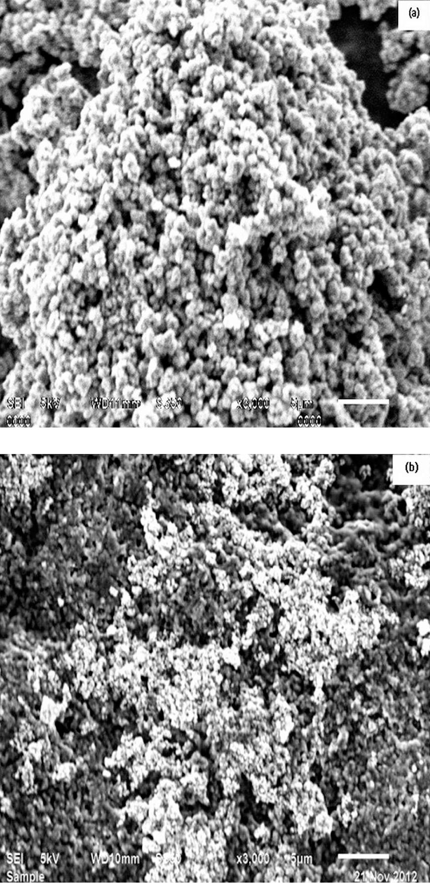 SEM micrographs of core-shell TiO2/PANI nanocomposite at two magnifications.