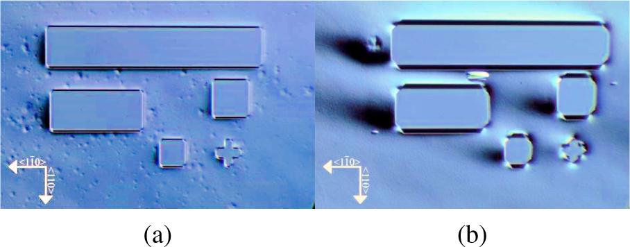 Images taken with an optical microscope using a phase contrast technique (both from the same sample) (a) shallow etching site and (b) deep etching site.