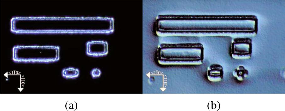 Optical microscope images of P82 surface (a) dark field method and (b) phase contrast.