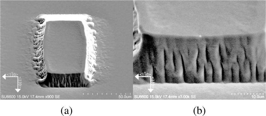 SEM top view images of A sample.