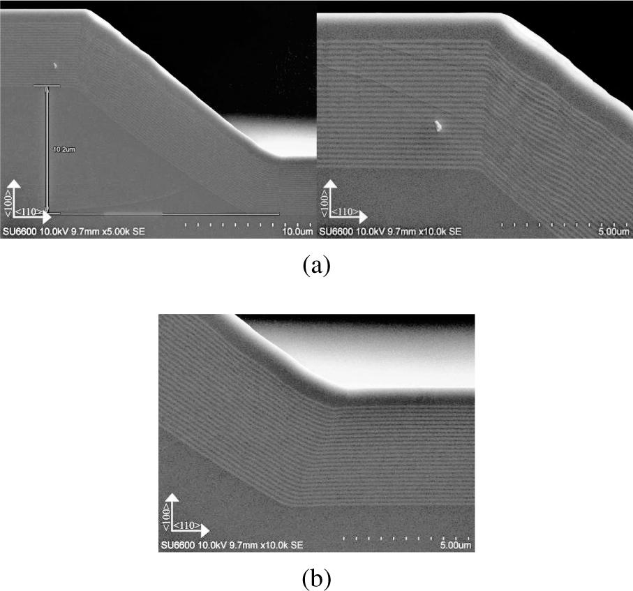 SEM cross-section images of B2 sample.