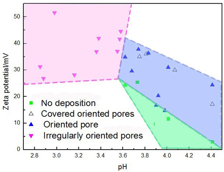 Effect of the pH values and zeta potential on the deposited pore structures.