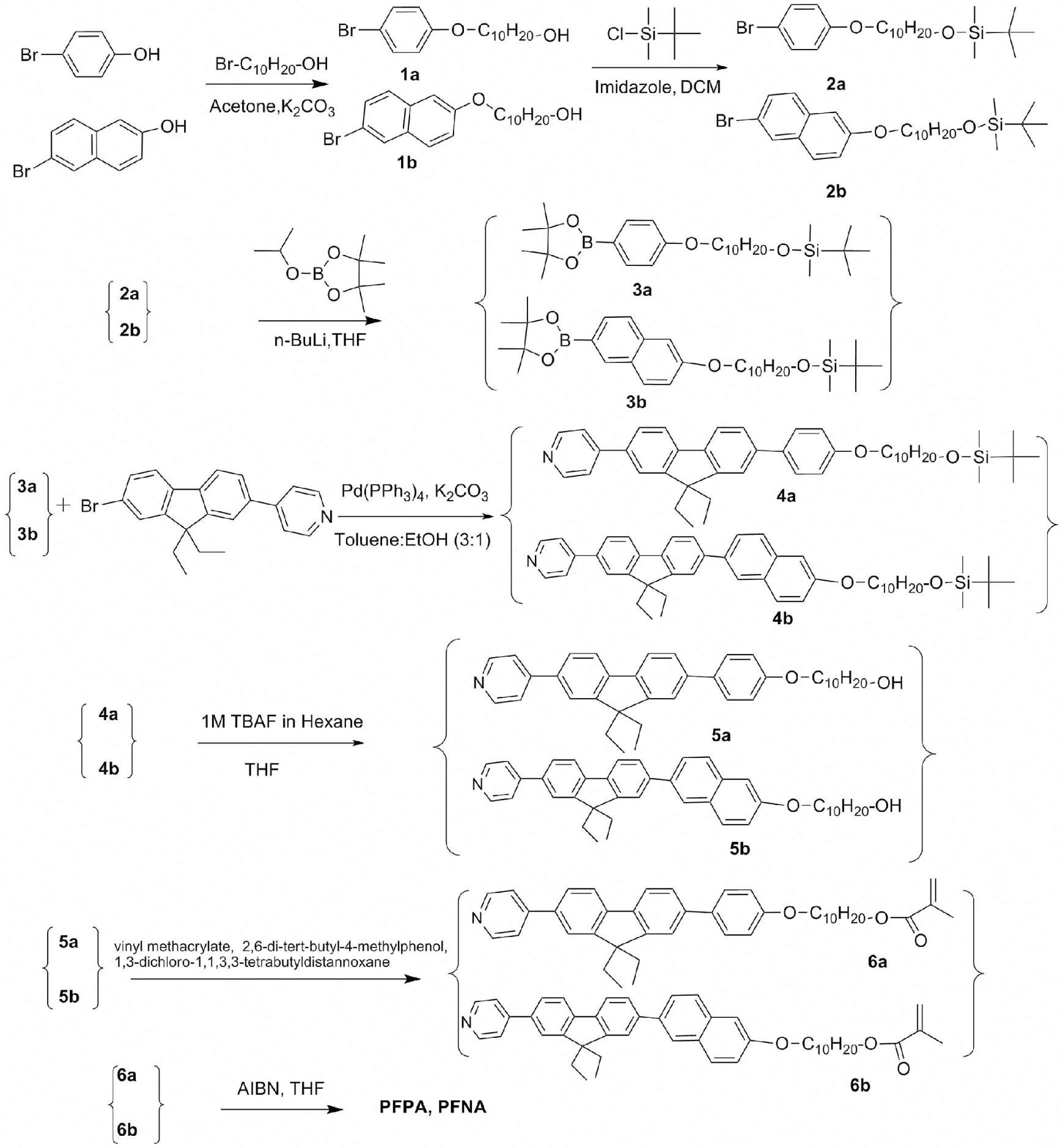 Synthetic route for PFPA and PFNA.