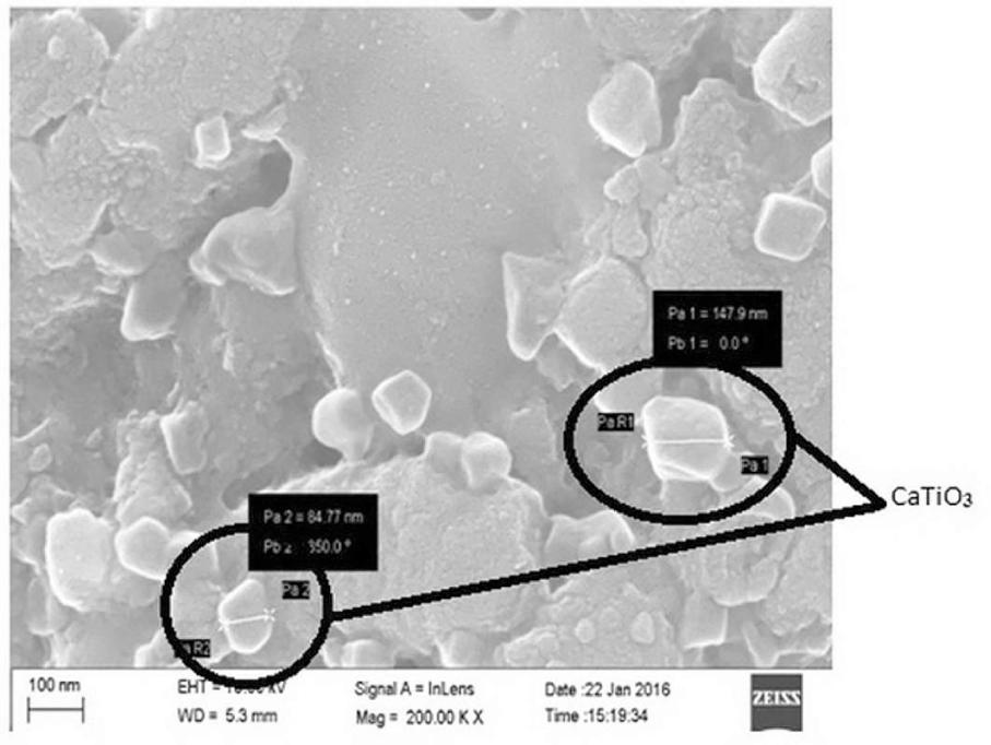 FESEM image of thin film AR coated solar cell.