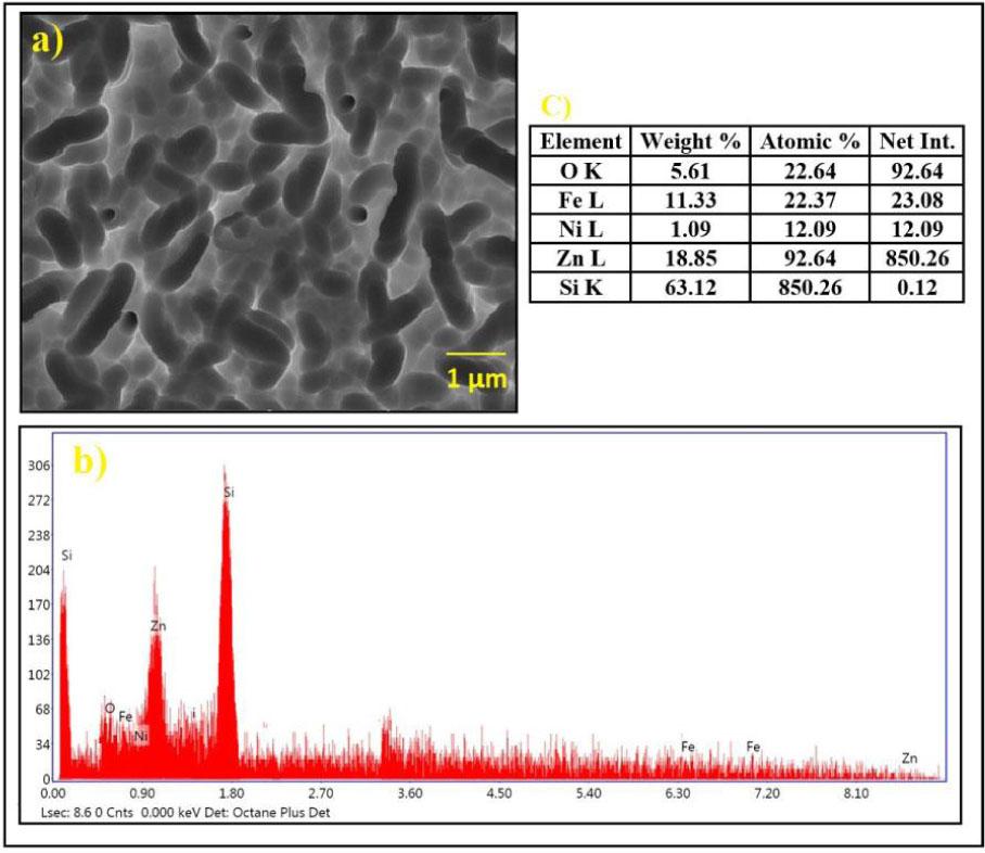 (a) FE-SEM, (b) EDAX spectra and (c) percentage of the elemental composition of ZnFe2O4 three layer (L3) coated PSSC.