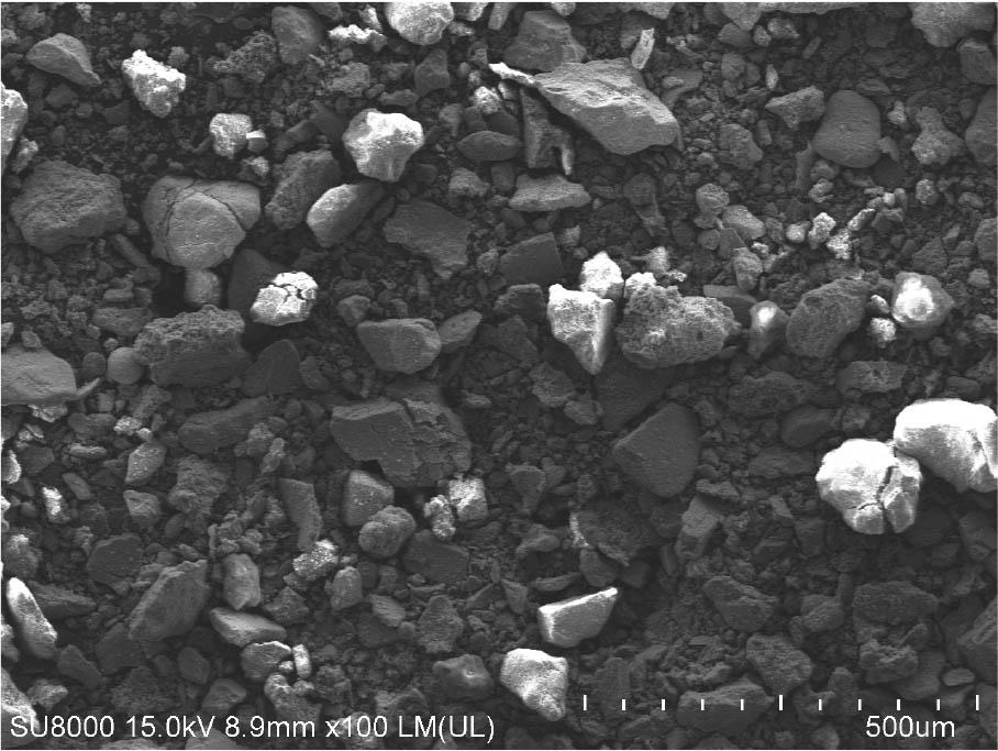 SEM image of the CFA (100×).