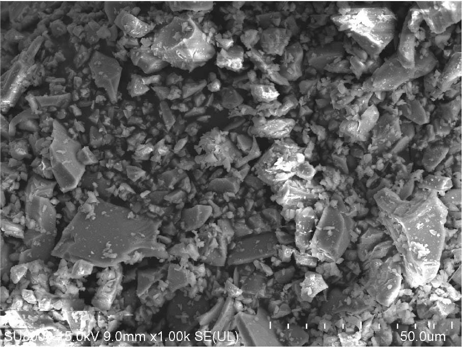 SEM observation of the GGBS (1000).