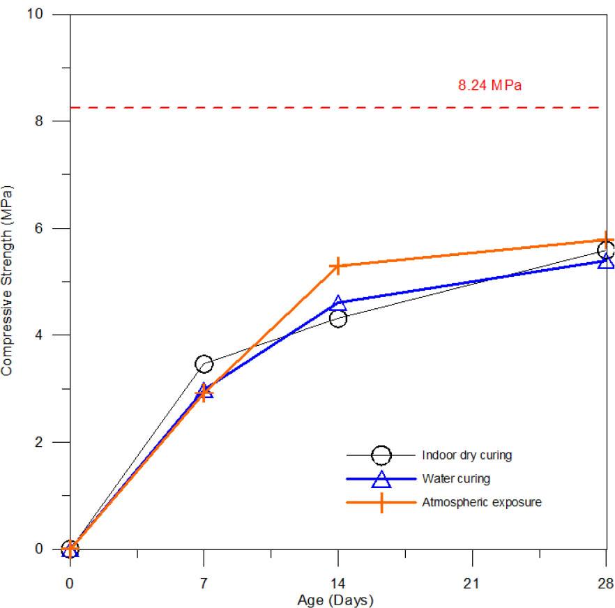 Compressive strength development curves.
