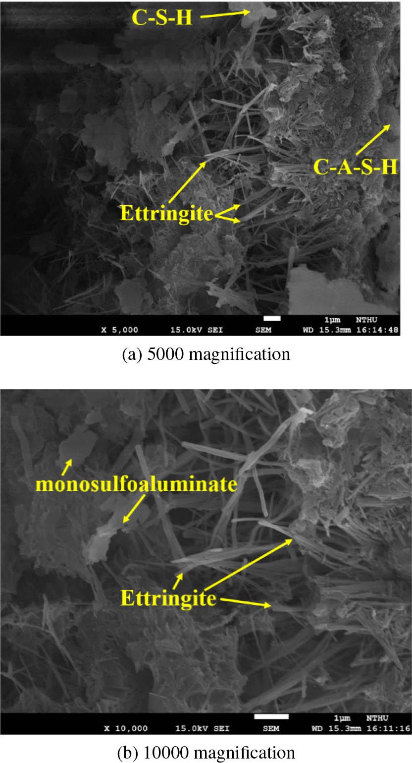 SEM photo of the T10 specimens under atmospheric exposure at 7 days.