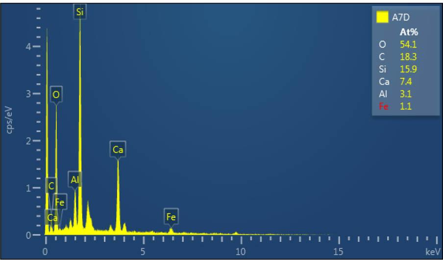 EDS analysis of the T10 specimens under atmospheric exposure at 7 days.