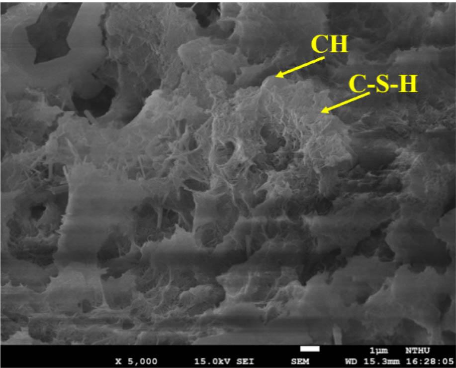 SEM photo of the 5h3 T10 specimens under atmospheric exposure at 28 days (5000).