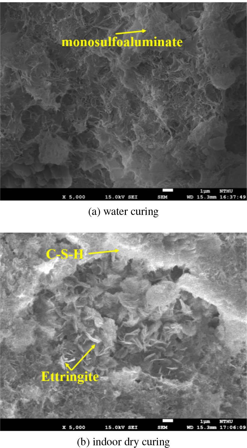 SEM photo of the 5h3 T10 specimens for water curing and indoor dry curing at 28 days (5000 magnification).