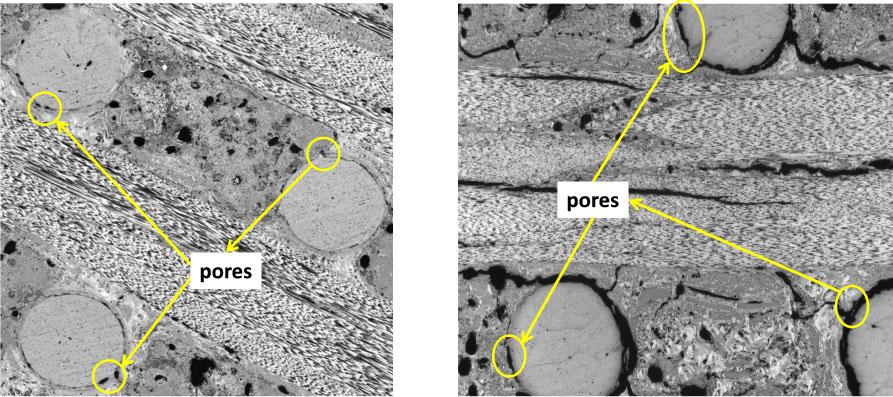 Diagram of position of pores on two batches of materials.