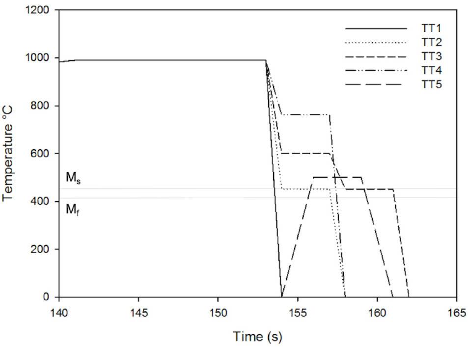 Schematic diagram of the heat treatments performed on steel. TT, thermal treatment.