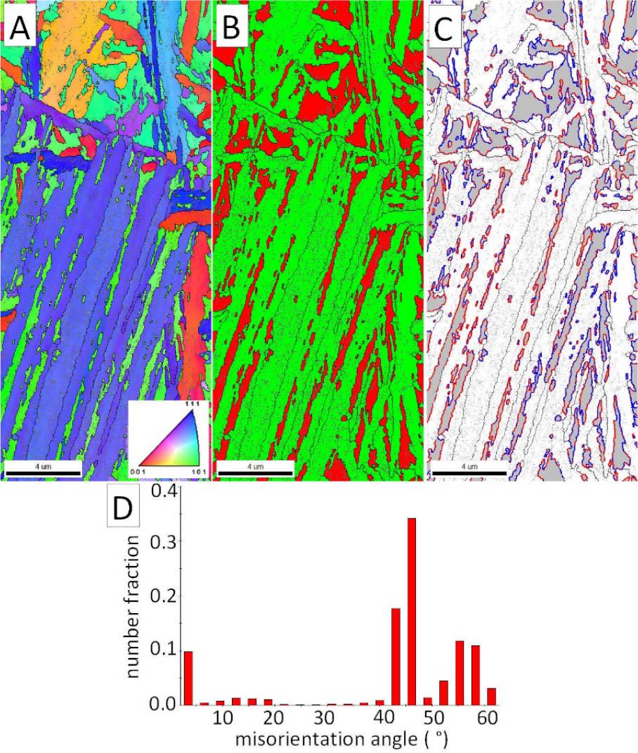 (A) Inverse pole figure map of 9XC grade steel after isothermal heat treatment. (B) Phase distribution map. Ferrite is marked in green, austenite is marked in red. (C) Phase distribution map (ferrite – white, austenite – gray), with the indicated K–S misorientation angles (43° ± 1) in red and N–W misorientation angles (46° ± 1) in blue. (D) Distribution of the misorientation angles. K–S, Kurdjumov–Sachs; N–W, Nishiyama–Wassermann.