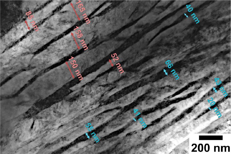 Example of an image used for phase refinement analysis. TEM, bright field image. TEM, transmission electron microscopy.