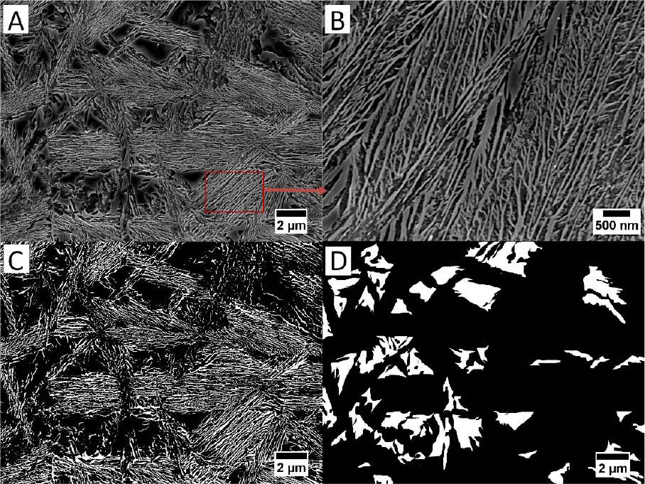 (A) Example of area intended for qualitative analysis. (B) Magnification of bainitic sheaf. Visible film-like austenite and bainitic ferrite. (C) Graphic image editing intended for film-like austenite measurements. (D) Prepared image for blocky austenite measurements.