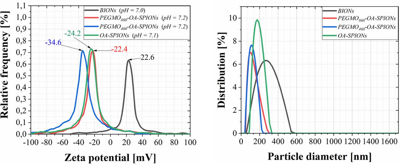 The Zeta-potential and size distribution of particle agglomerates in the synthesized samples. BIONs, bare iron oxide nanoparticles; OA, oleic acid; PEGMO, poly(ethylene) glycol monooleate; SPIONs, superpara-magnetic iron oxide nanoparticles.