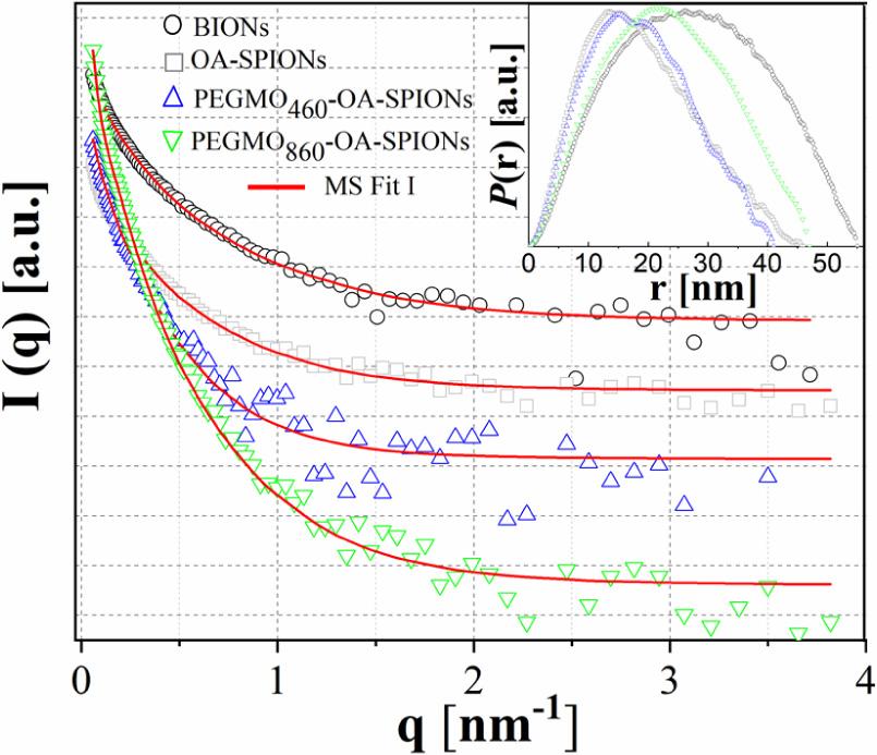 McSAS fitting for evaluating size distribution and pair-distance distribution function p(r) obtained by GNOM. BIONs, bare iron oxide nanoparticles; OA, oleic acid; PEGMO, poly(ethylene) glycol monooleate; SPIONs, superparamagnetic iron oxide nanoparticles.