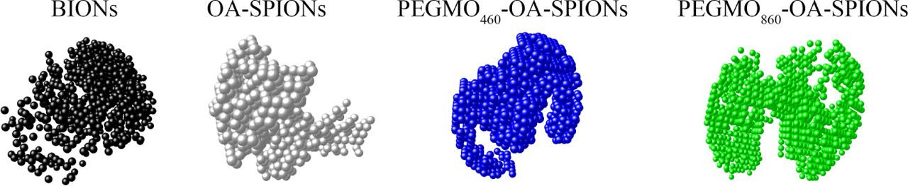 Ab initio SAXS models of bare, OA-SPIONs, PEGMO460-OA-SPIONs, and PEGMO860-OA-SPIONs nanoparticles constructed using DAMMIN. OA, oleic acid; PEGMO, poly(ethylene) glycol monooleate; SAXS, small-angle X-ray scattering; SPIONs, superparamagnetic iron oxide nanoparticles.