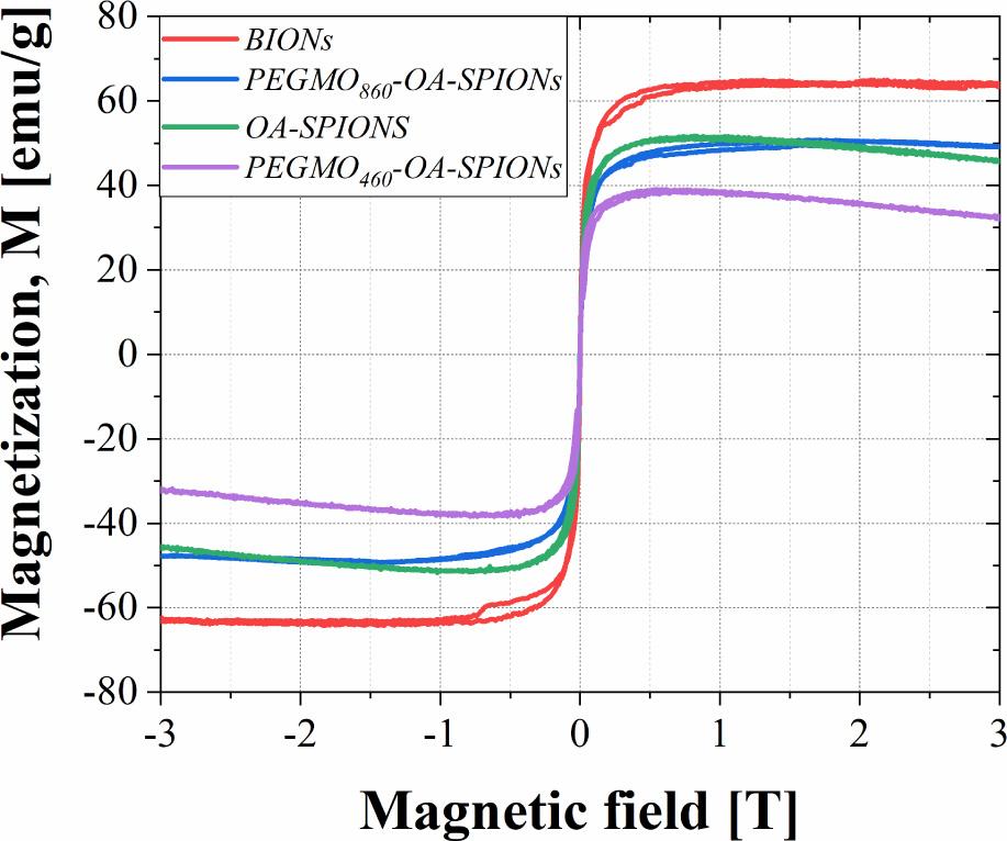 Magnetization curves of synthesized samples at a temperature of 300 K. BIONs, bare iron oxide nanoparticles; OA, oleic acid; PEGMO, poly(ethylene) glycol monooleate; SPIONs, superparamagnetic iron oxide nanoparticles.
