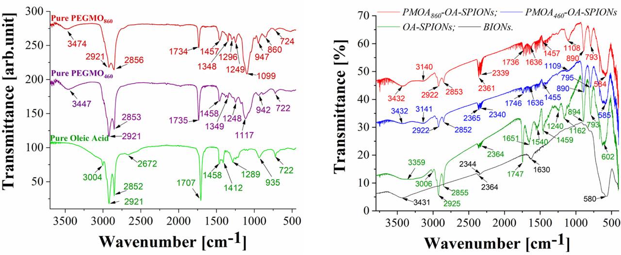 FTIR spectra of pure OA, PEGMO460, and PEGMO860 in liquid form (left); FTIR spectra of BIONs, PEG460-OA-SPIONs, and PEG860-OA-SPIONs samples (right). BIONs, bare iron oxide nanoparticles; FTIR, fourier-transform infrared spectroscopy; OA, oleic acid; PEGMO, poly(ethylene) glycol monooleate; SPIONs, superparamagnetic iron oxide nanoparticles.