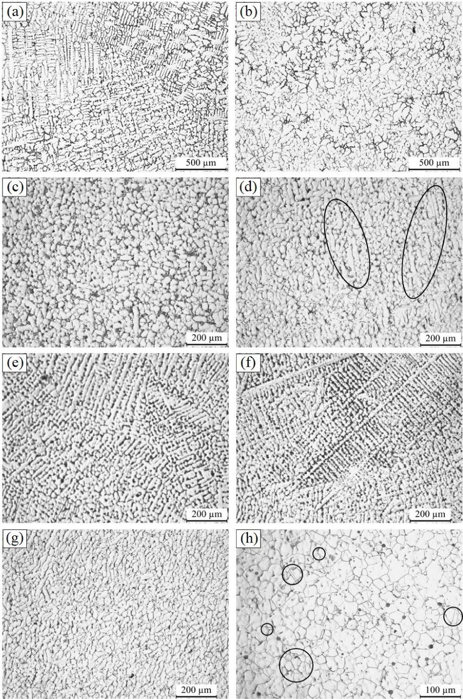 Microstructure of Ni82Cu18 alloy at different undercooling. (A) 30 K; (B) 60 K; (C) 76 K; (D) 100 K; (E) 120 K; (F) 155 K; (G) 170 K; and (H) 210 K.