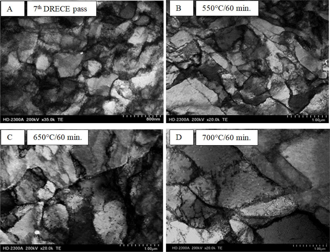 STEM photographs of low-carbon steel annealed for 60 min in different temperature variants after seven DRECE passes; deformed sample (A), annealed at 550°C (B), 650°C (C), 650°C (D). DRECE, dual rolls equal channel extrusion; STEM, scanning transmission electron microscopy