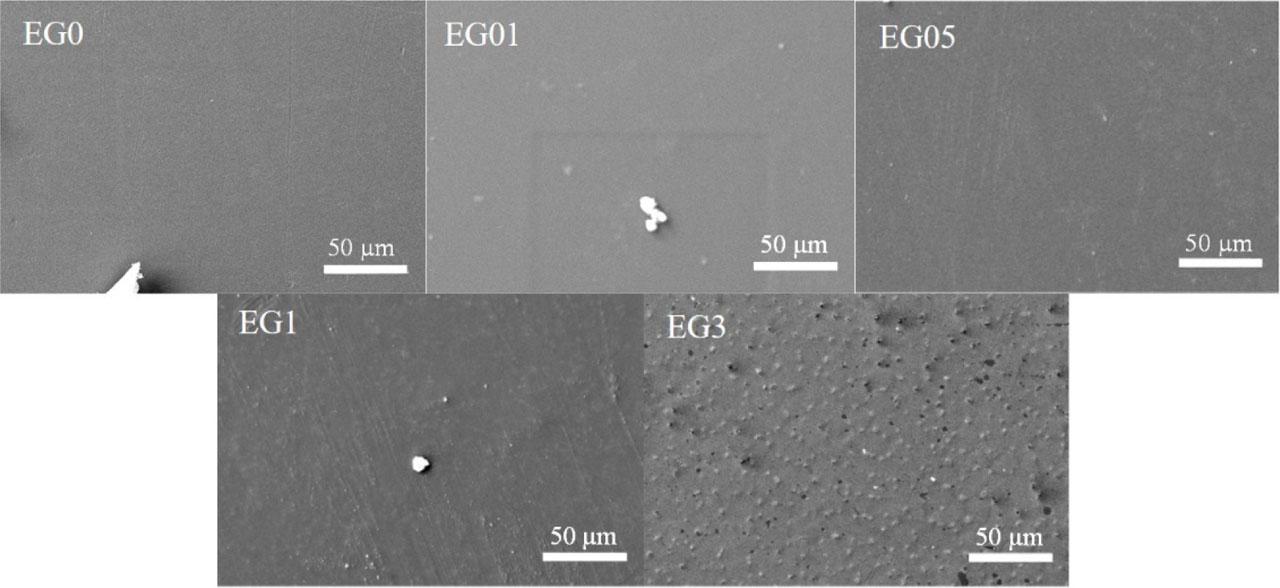 SEM micrograph coatings’ surface of the EG0, EG01, EG05, EG1, and EG3 samples. SEM, scanning electron microscopy