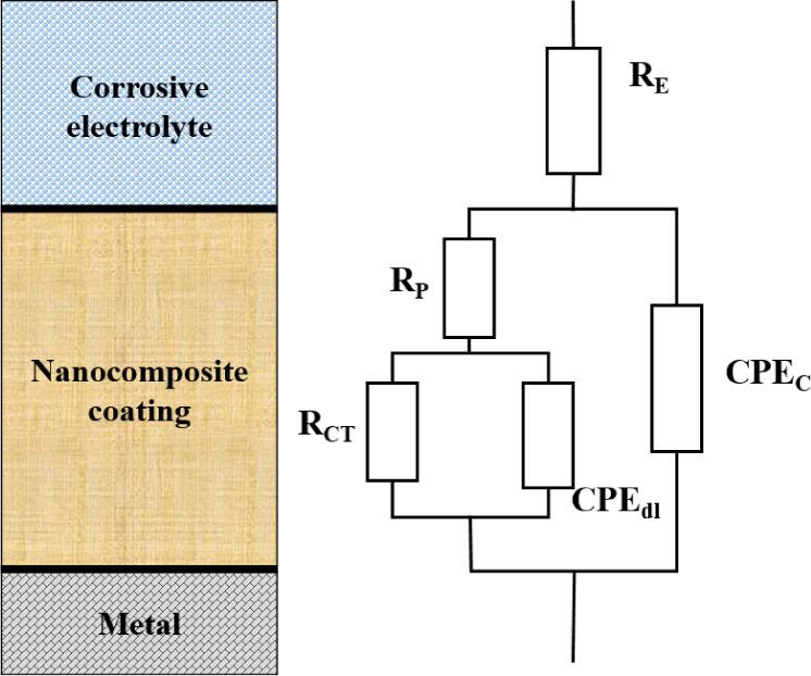 EEC for the studied coating systems. CPE, Constant phase element