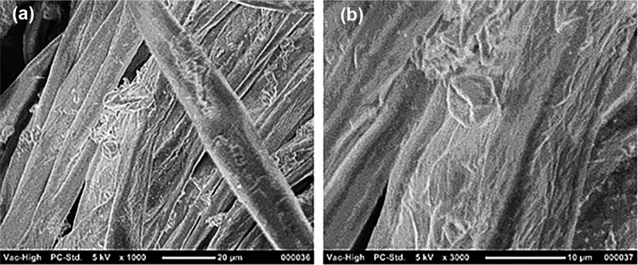 SEM micrographs of knitting grafted with fragrant microcapsules after 40 washing cycles at (A) ×1,000 and (B) ×3,000 magnification. SEM, scanning electron microscopy