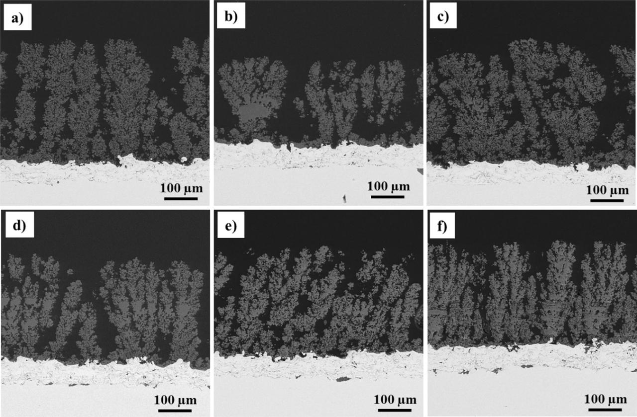 Cross-section SEM images: AT3_i (a), AT3_di (b), AT13_i (c), AT13_di (d), AT40_i (e), AT40_di (f)
