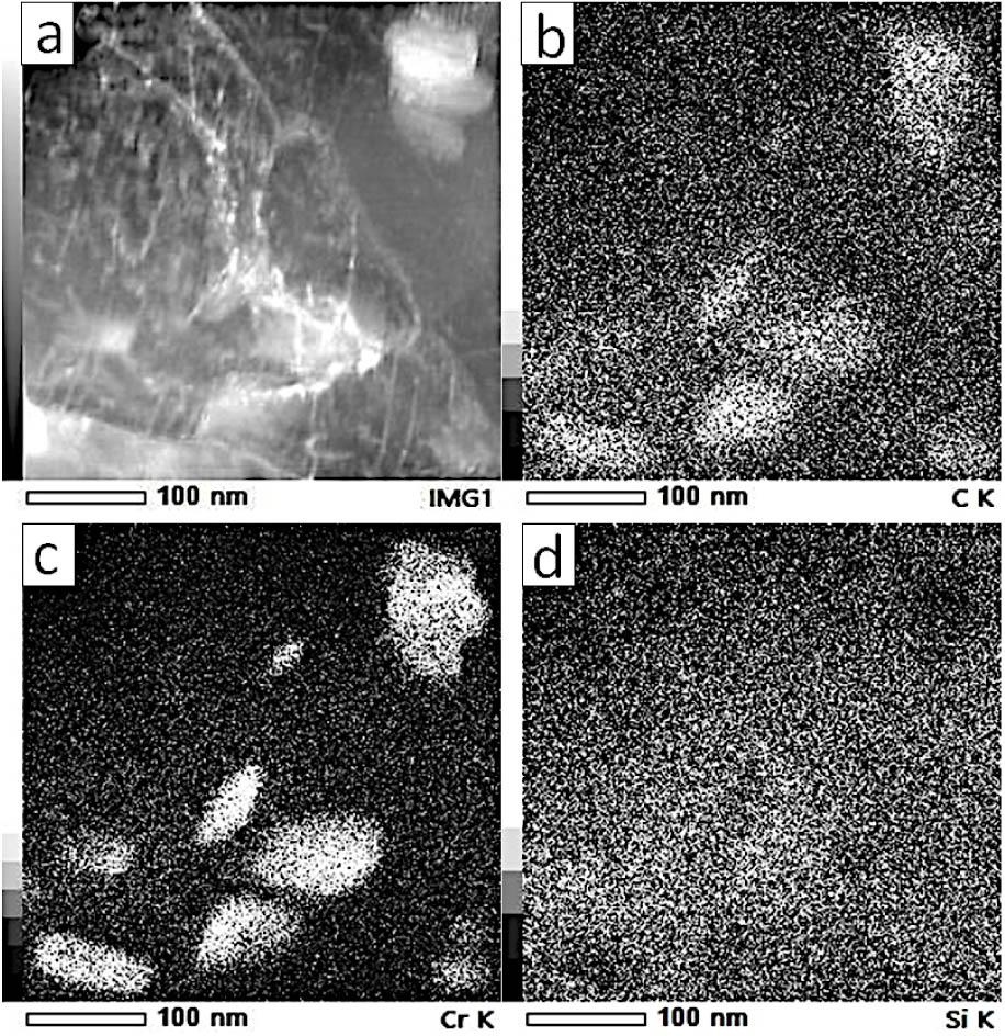 EDS mapping: (A) reference image, (B) C concentration, (C) Cr concentration, and (D) Si concentration. EDS – energy dispersive X-ray spectroscopy