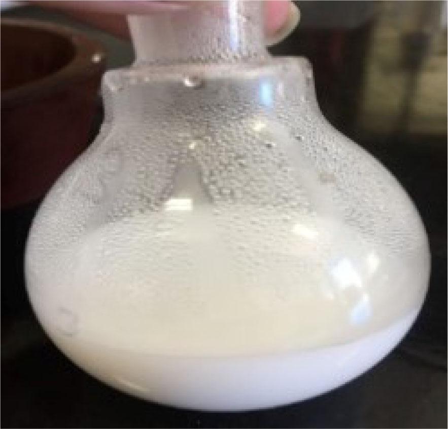 Sample H1.0 after gelation