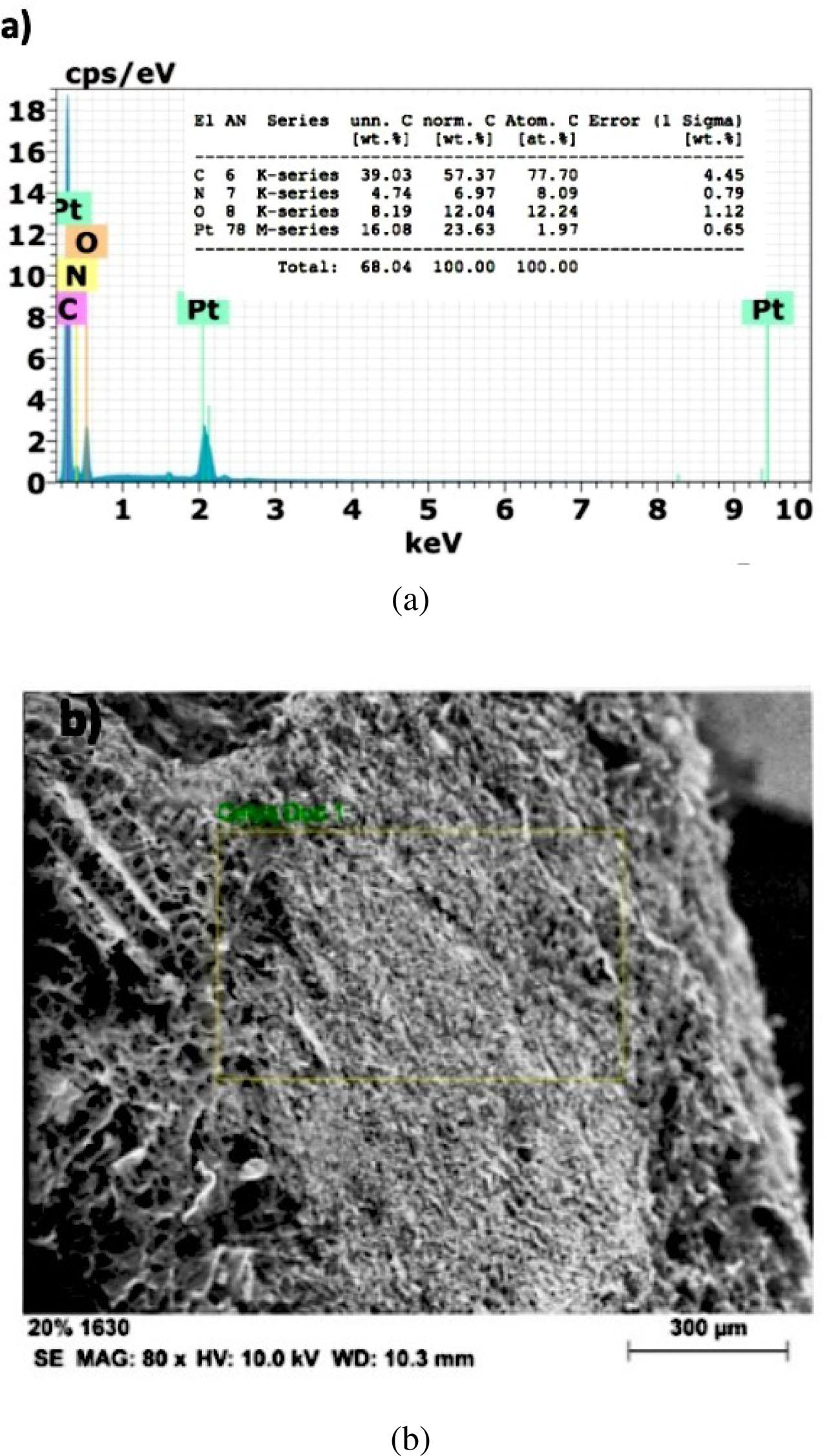 (a) EDS spectrum of hydrogel H1.A and (b) image of the region analyzed by EDS