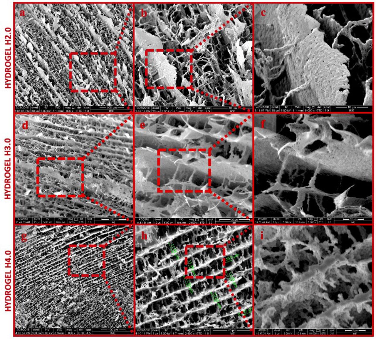 SEM morphologies of the samples of H2.0, H3.0, and H4.0. Magnification of the sample of H2.0: (a) 600 ×; (b) 2,500 ×; (c) 8,000 ×. Magnification of the sample of H3.0: (d) 600 ×; (e) 2,500 ×; (f) 5,000 ×. Magnification of the sample of H4.0: (g) 600 ×; (h) 2,400 ×; (i) 10,000 ×