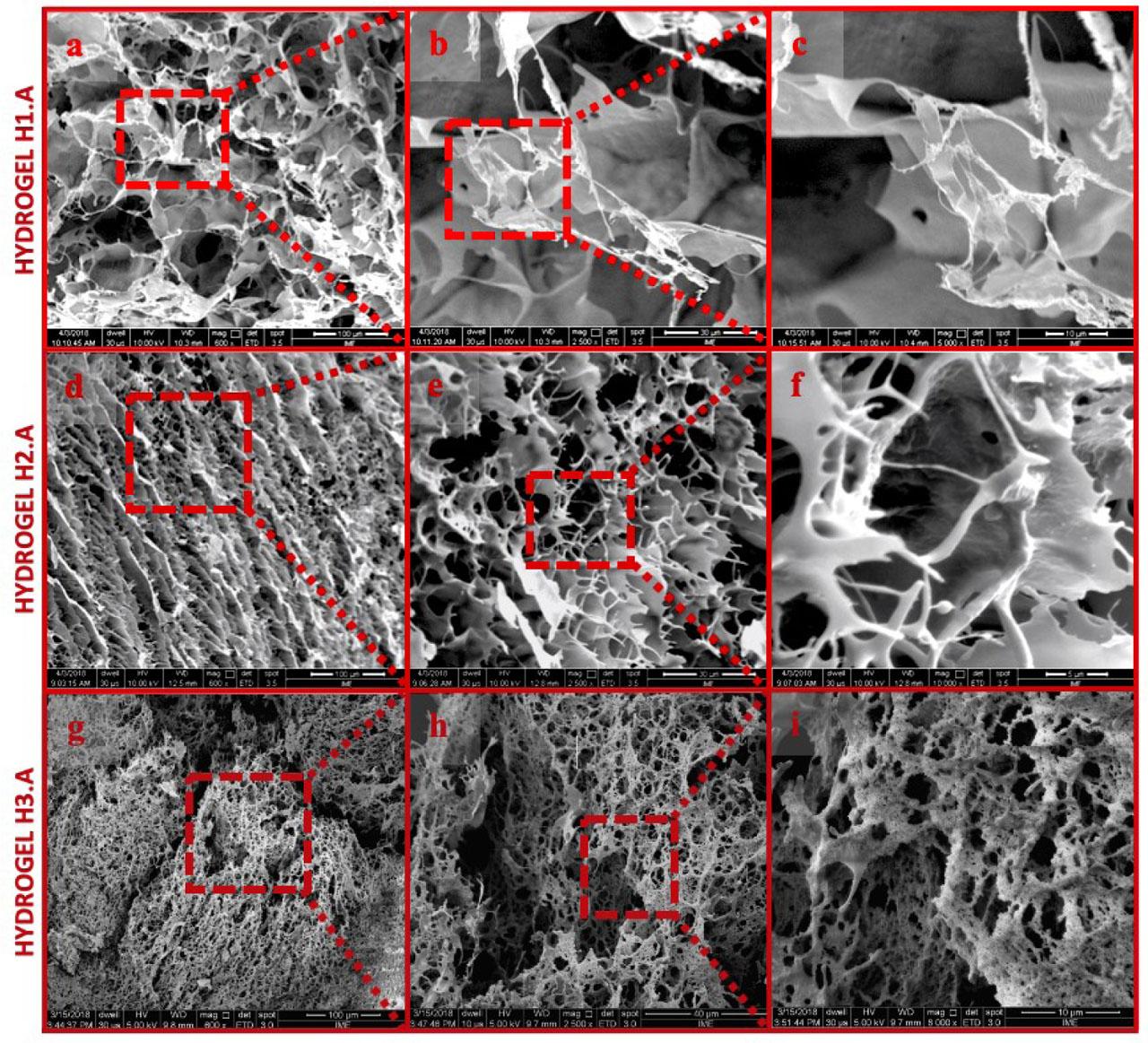 Morphologies of the samples of H1.A, H2.A, and H3.A. Magnification of the sample of H1.A: (a) 600 ×; (b) 2,500 ×; (c) 5,000 ×. Magnification of the sample of H2.A: (d) 600 ×; (e) 2,500 ×; (f) 10,000 ×. Magnification of the sample of H3.A: (g) 600 ×; (h) 2,500 ×; (i) 8,000 ×