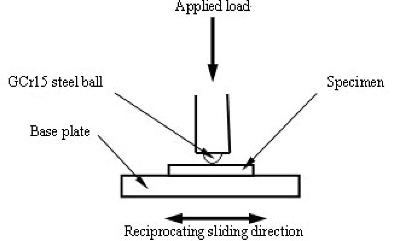 The schematic diagram of the friction pair.