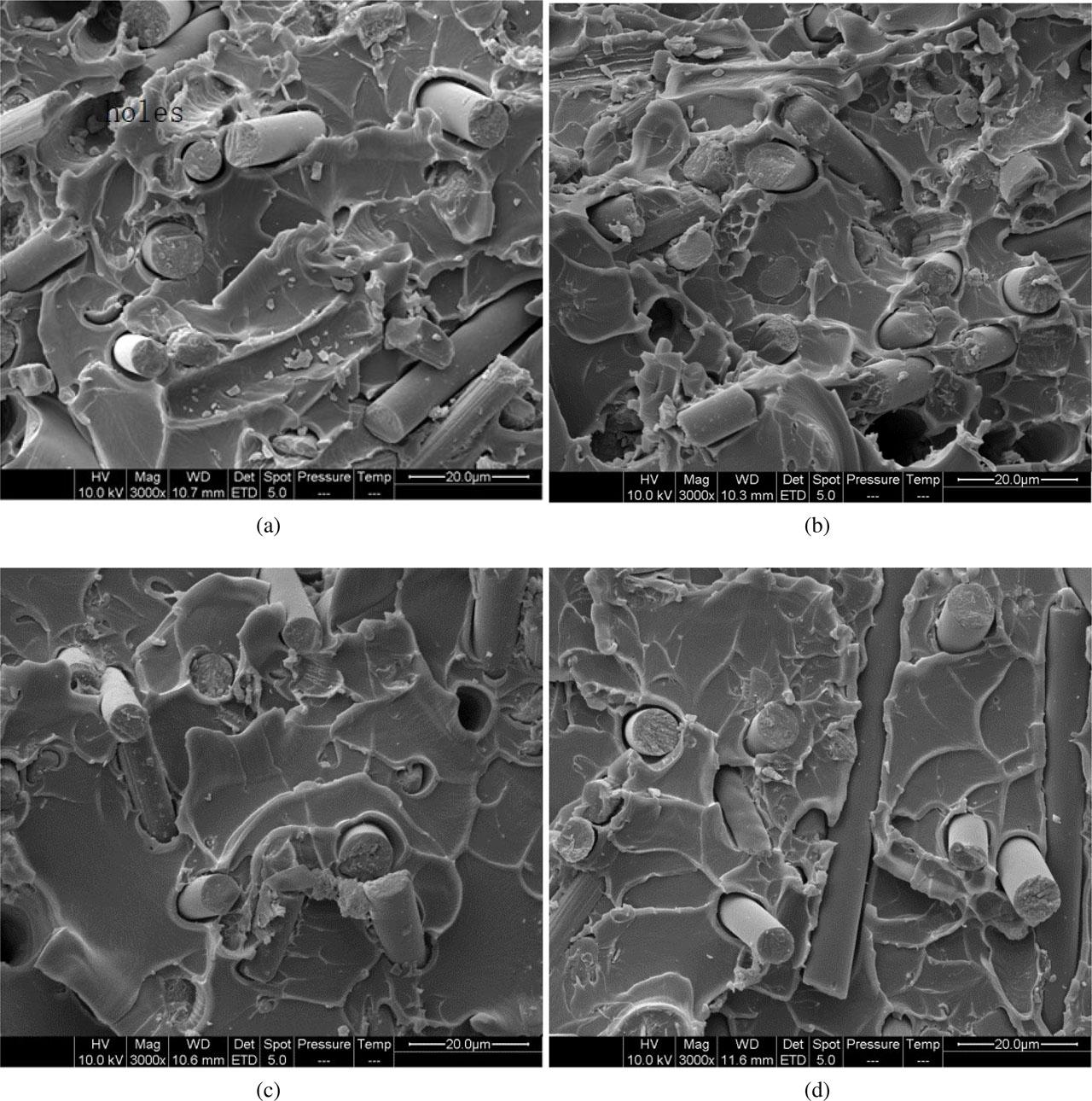 Cross-sectional scanning electron micrographs of CF/PI (a: untreated, b: 1wt% silane coating, c: 2wt% silane coating, and d: 3wt% silane coating).