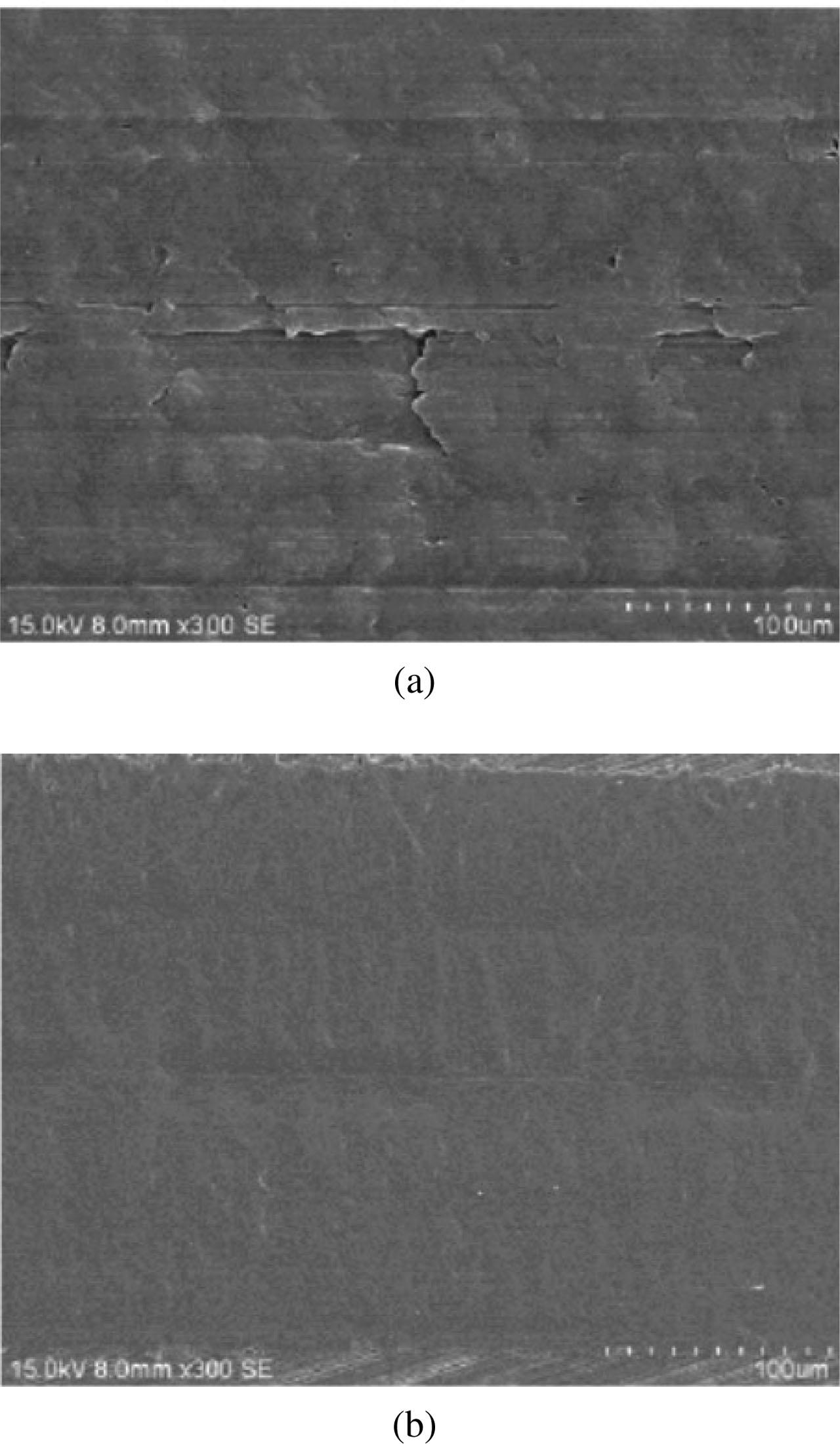 SEM micrographs of transfer film on the coupling surface (a: untreated and b: 3wt% silane coating).