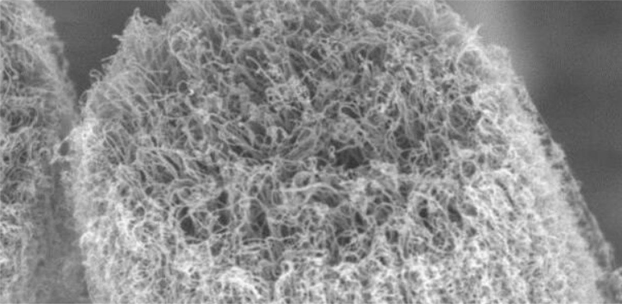 Standard CNTs. CNTs, carbon nanotubes