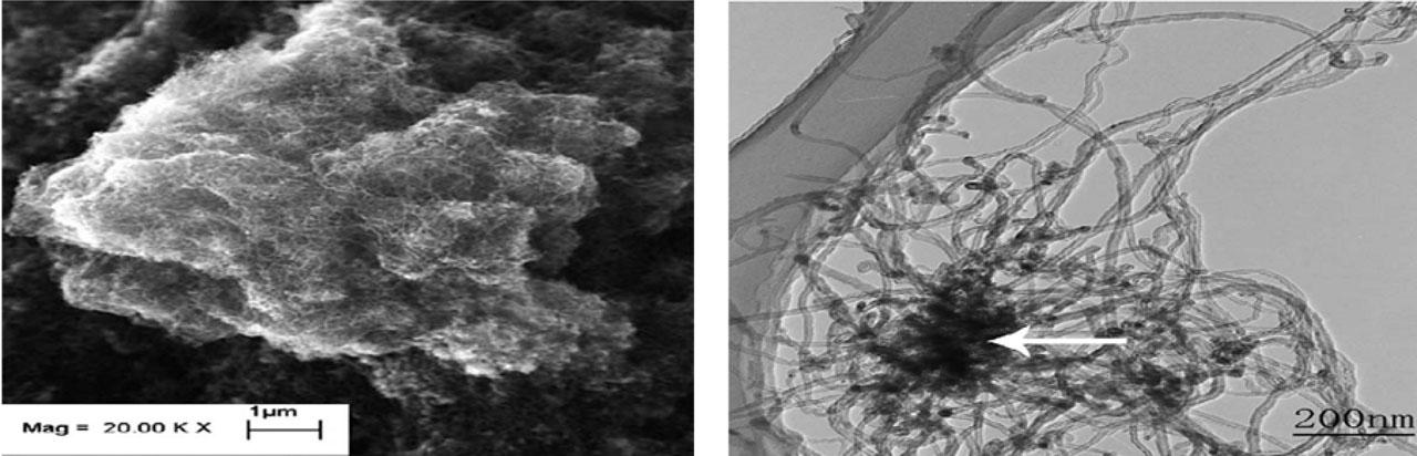 Agglomerates of ML CNTs obtained by the CCVD method. ML CNTs, multilayer carbon nanotubes